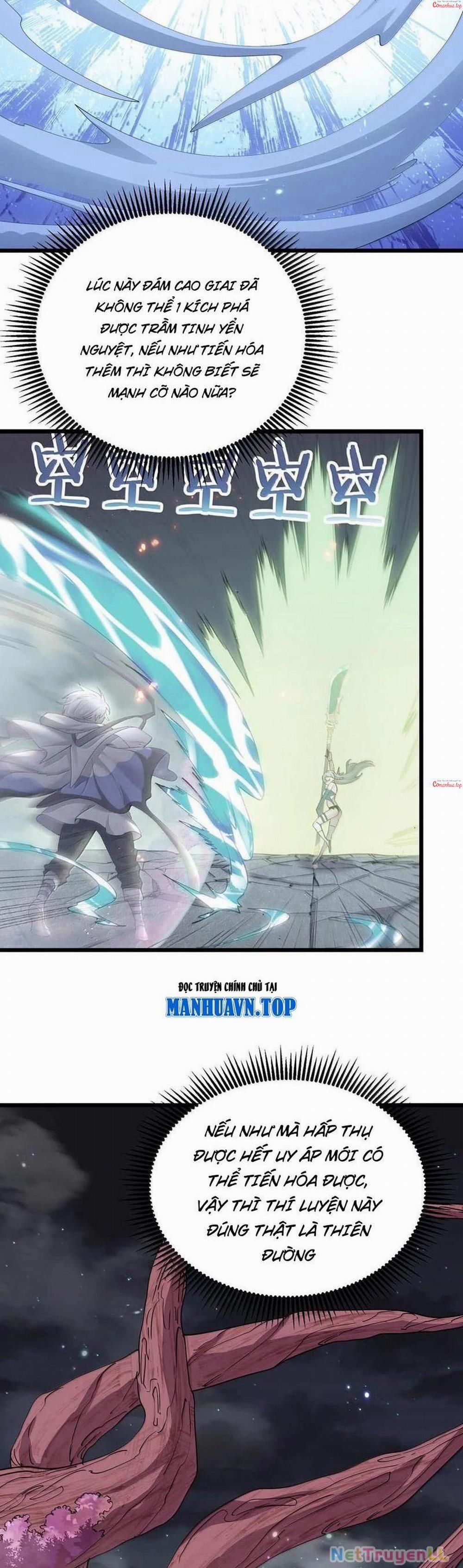 Thế Nhân Thực Sự Tin Tôi Là Đại Boss 74 trang 23