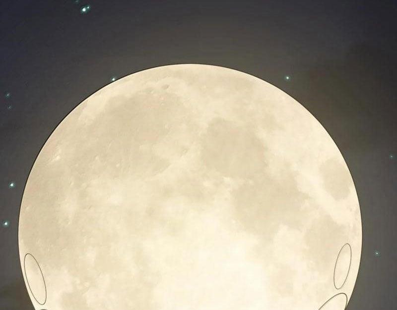 Thế Nhân Thực Sự Tin Tôi Là Đại Boss 94 trang 134