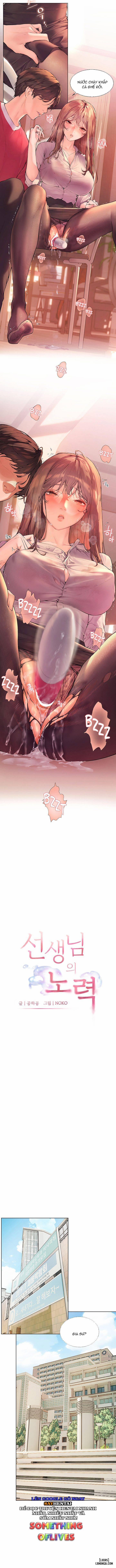 The Teachers’ Efforts 1 trang 1