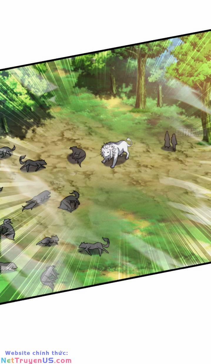 Thê Tử Của Ta Là Đại Lão Đại Thừa Kỳ 11 trang 11