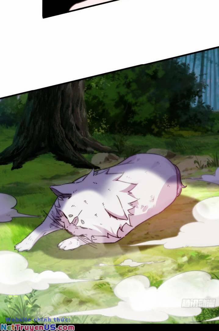 Thê Tử Của Ta Là Đại Lão Đại Thừa Kỳ 11 trang 18