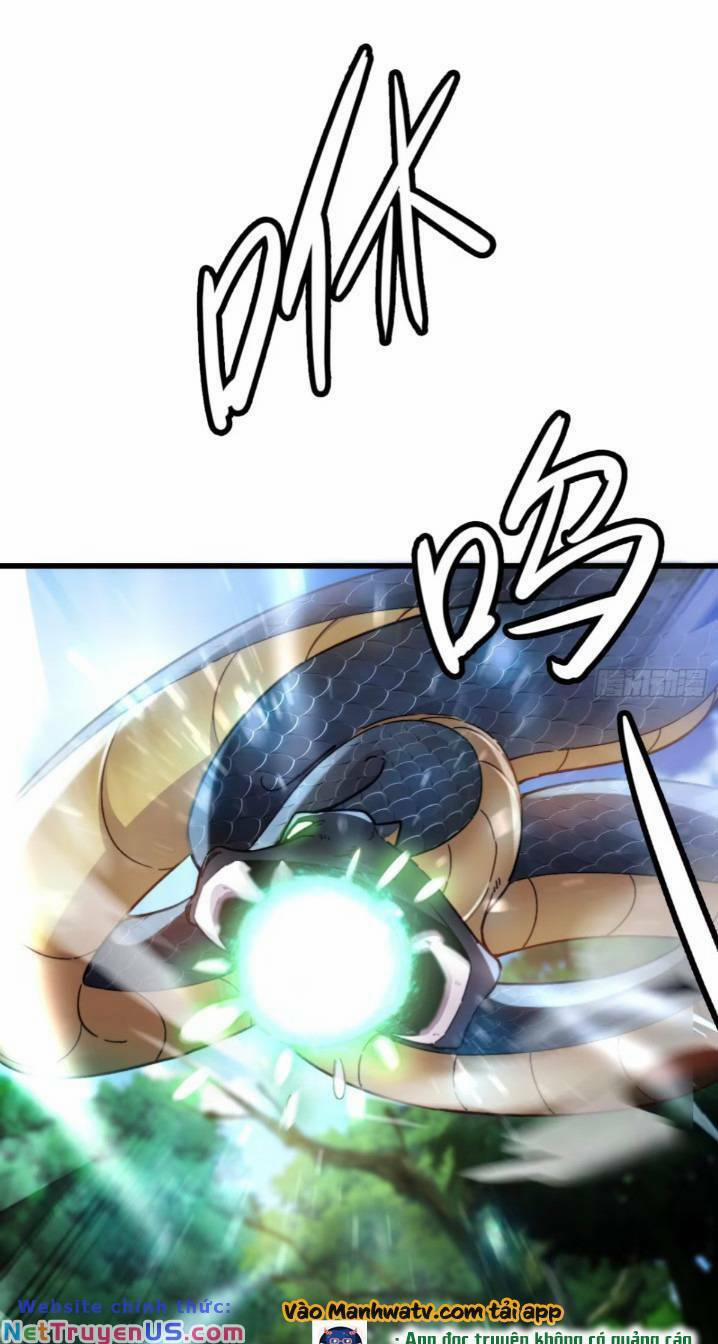 Thê Tử Của Ta Là Đại Lão Đại Thừa Kỳ 11 trang 21