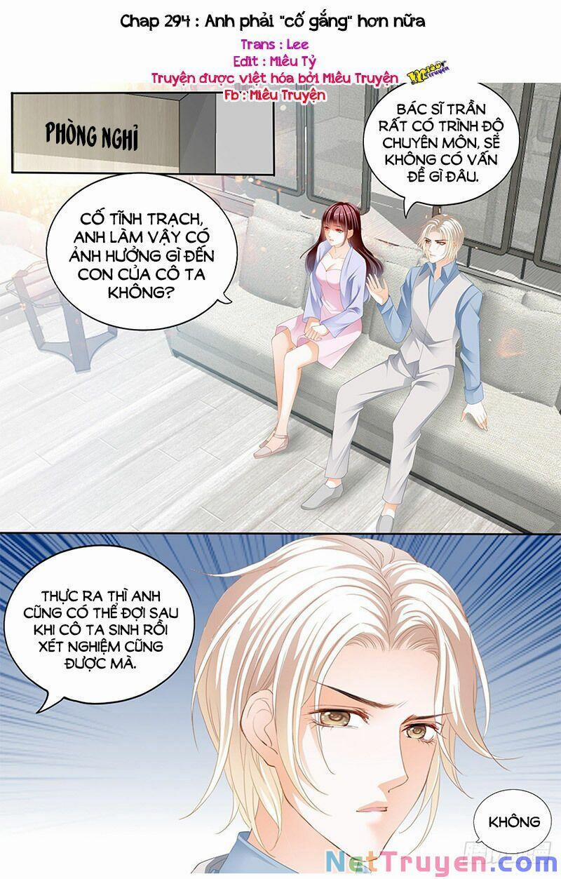 Thiểm Hôn Kiều Thê 294 trang 0