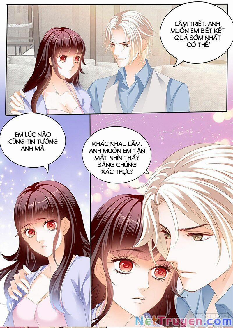 Thiểm Hôn Kiều Thê 294 trang 1