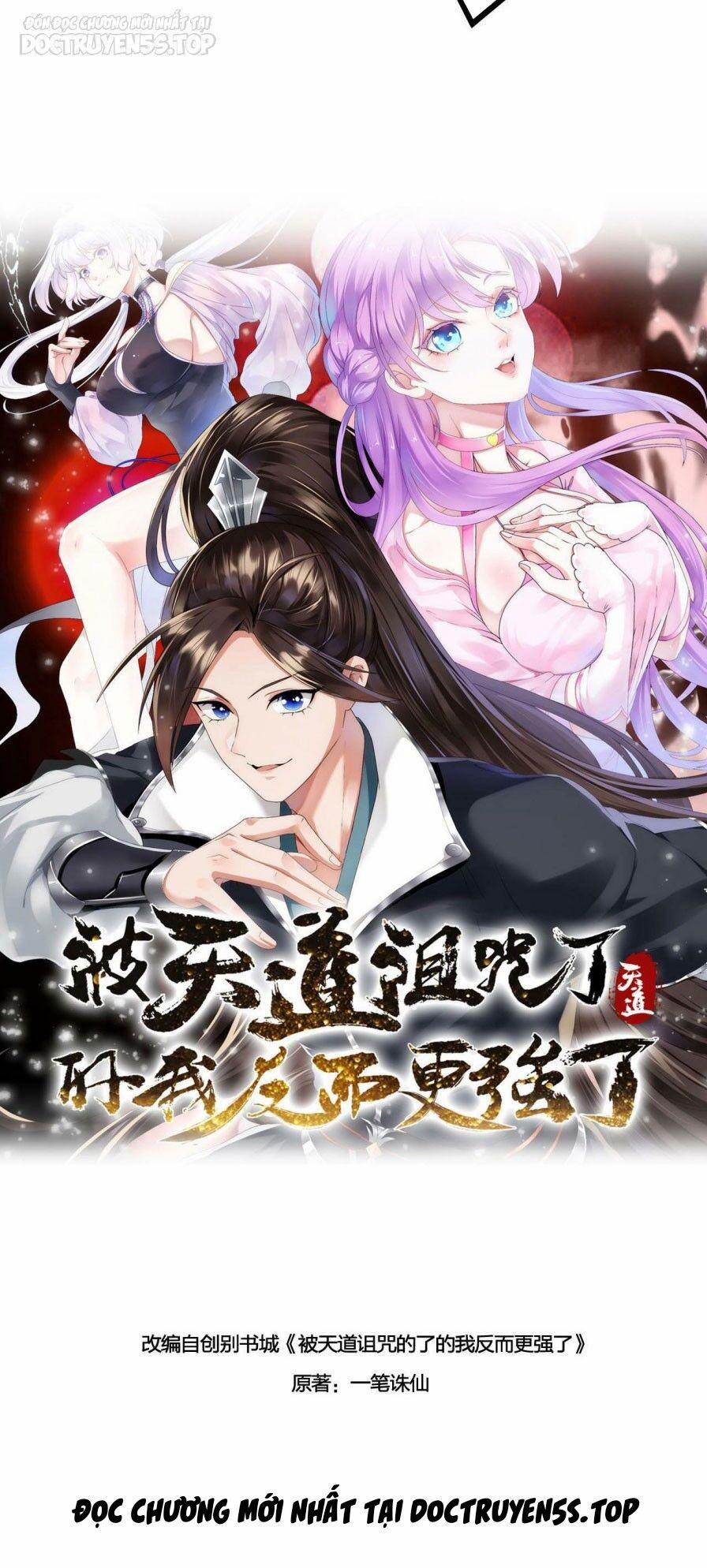 Thiên Đạo Nguyền Rủa Ư? Ta Nghịch Thiên!! 32 trang 14