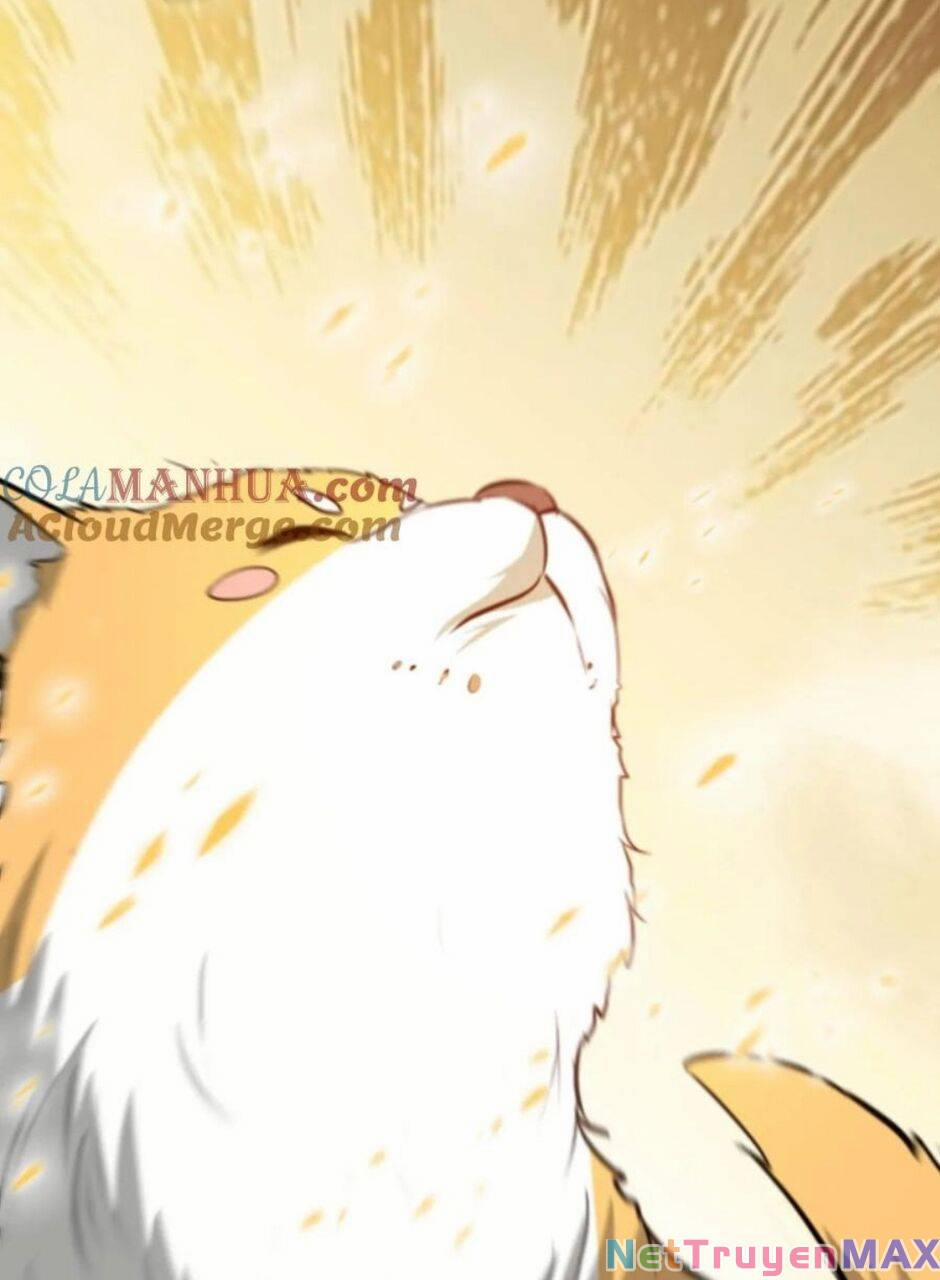 Thiên Khải Bại Gia 14 trang 11