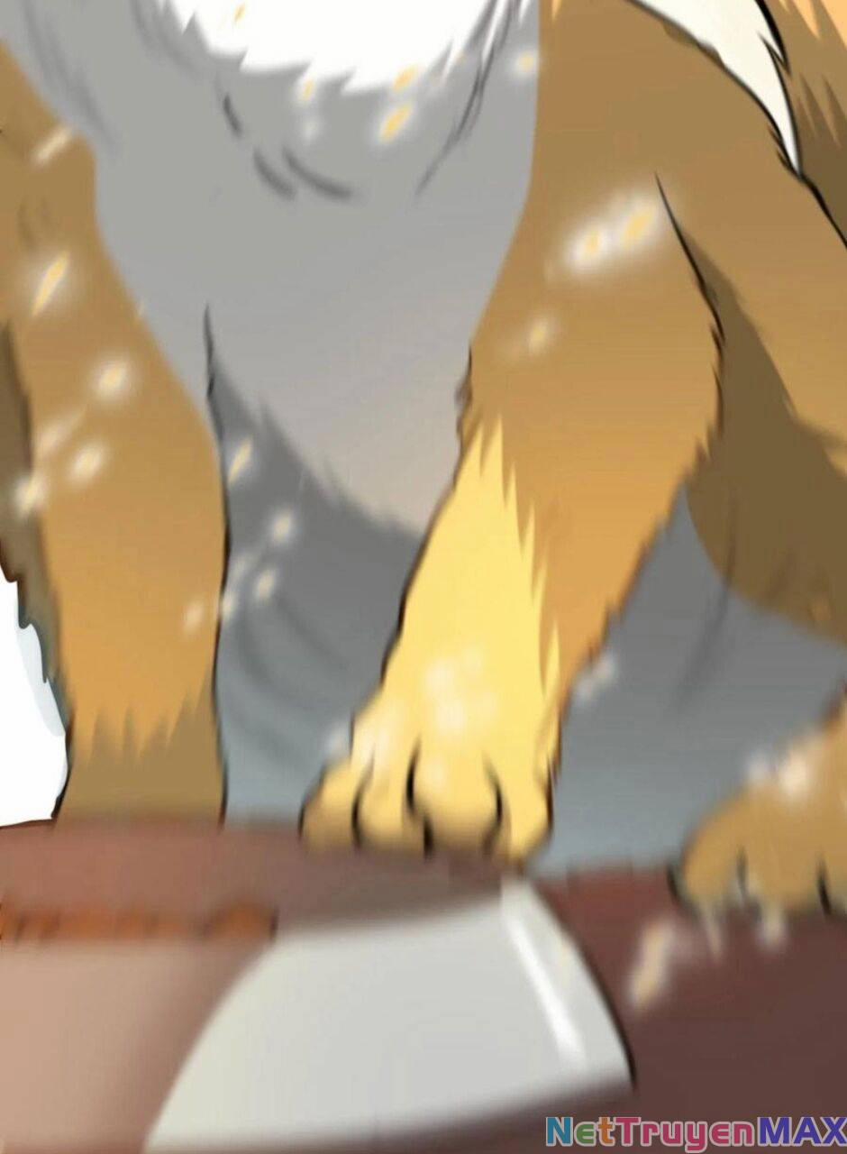 Thiên Khải Bại Gia 14 trang 12