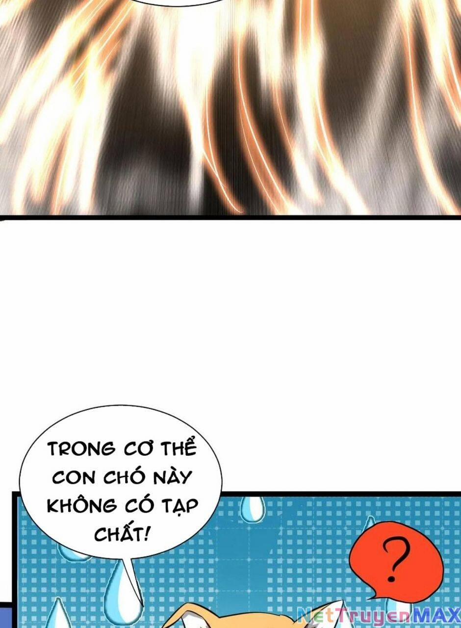 Thiên Khải Bại Gia 15 trang 24