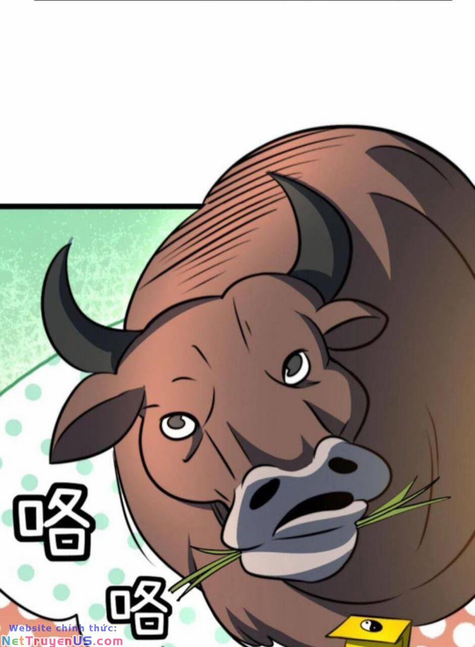 Thiên Khải Bại Gia 74 trang 11