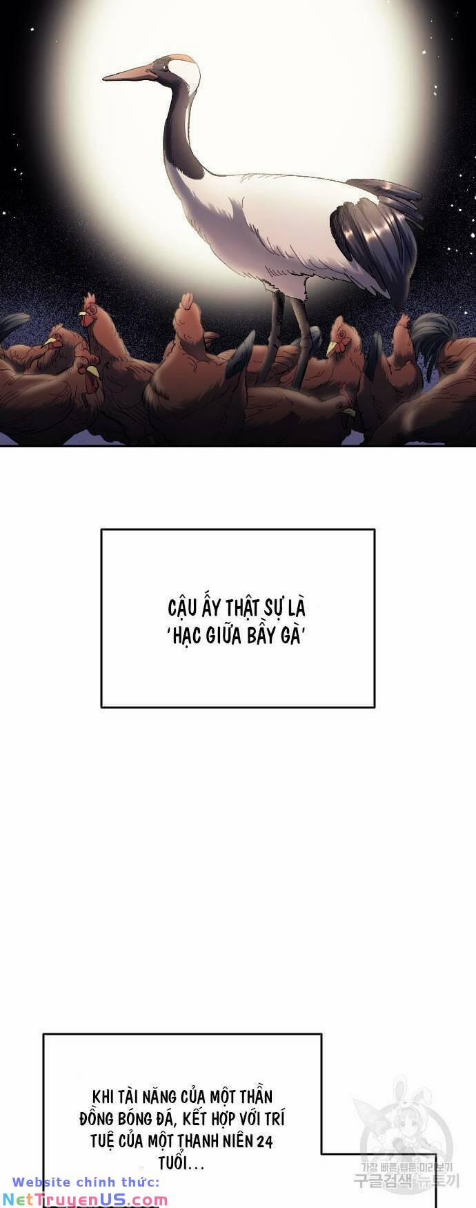 Thiên Phú Bóng Đá, Tất Cả Đều Là Của Tôi! 10 trang 44