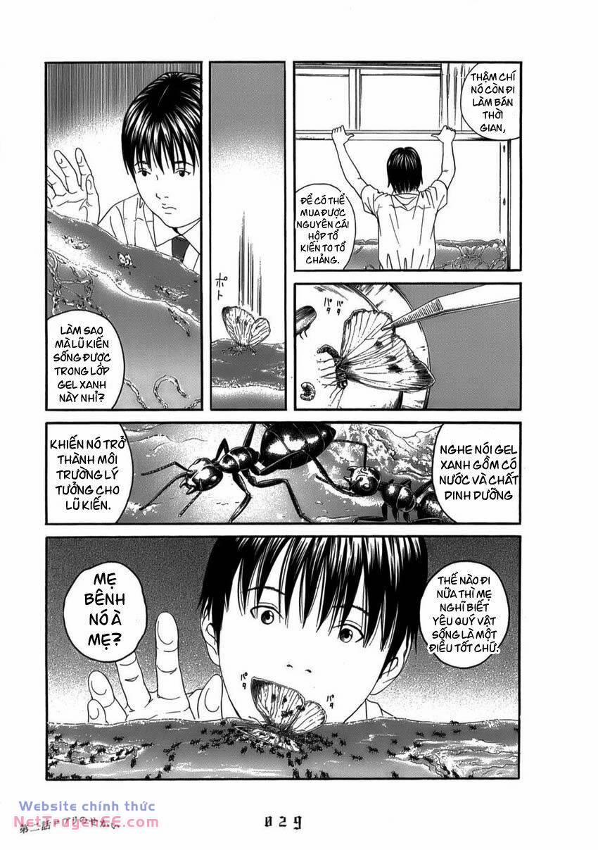 Thiếu Niên Thiếu Nữ Phiêu Lưu Ký 2 trang 4