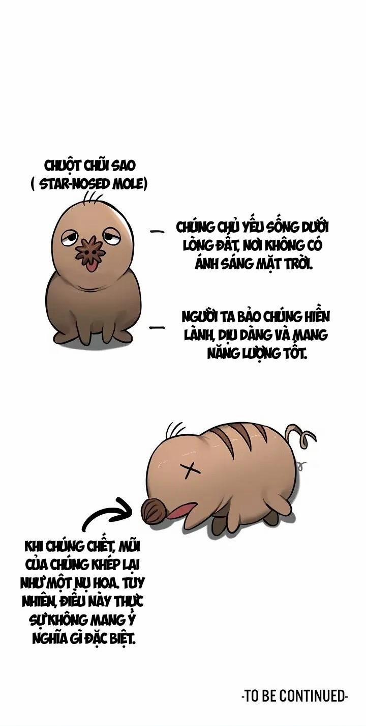 Thống Trị 45 trang 12