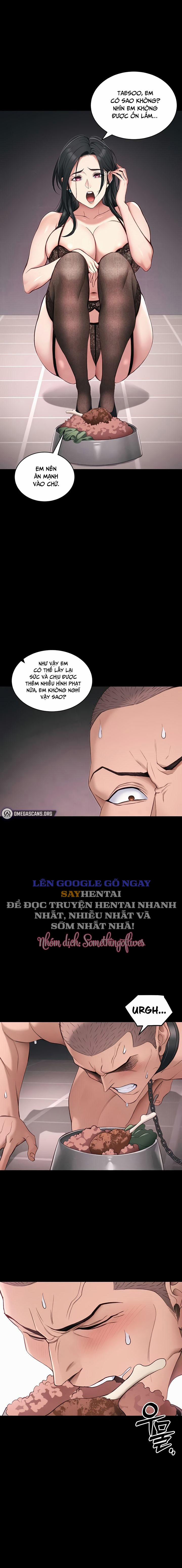 Thuần Phục Kẻ Bắt Nạt 43 trang 11