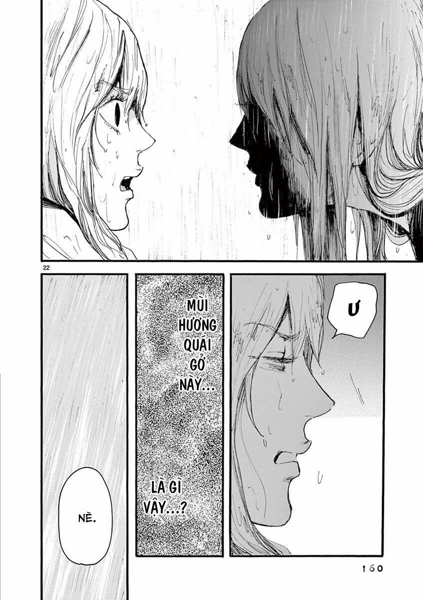 Tia Sáng Xinh Đẹp 5 trang 23