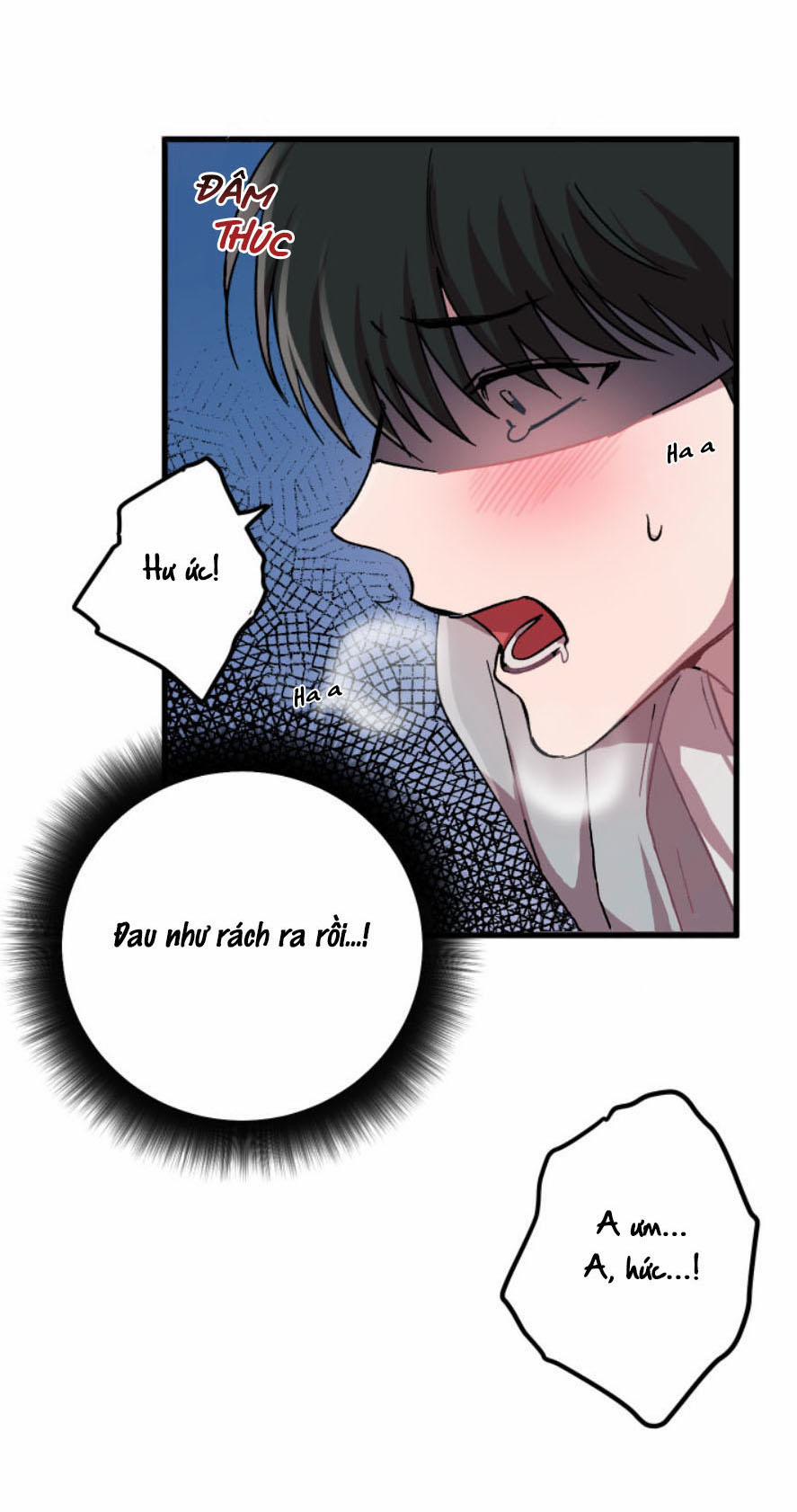 Tiệm Giặt Của Dae Hyun 4 trang 21