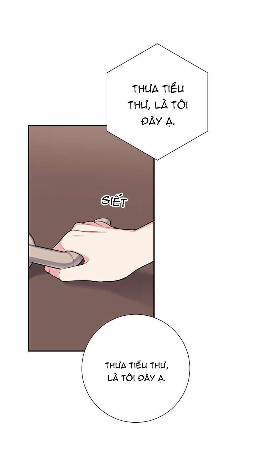 Tiểu thư và người hầu 23 trang 19