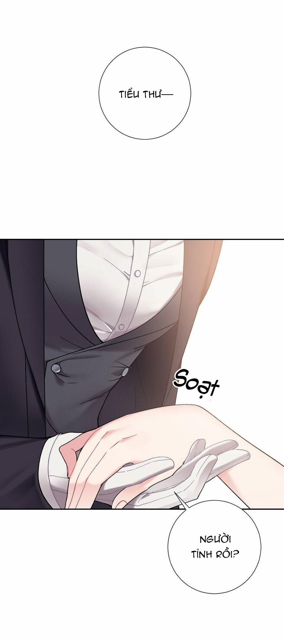 Tiểu thư và người hầu 25 trang 48