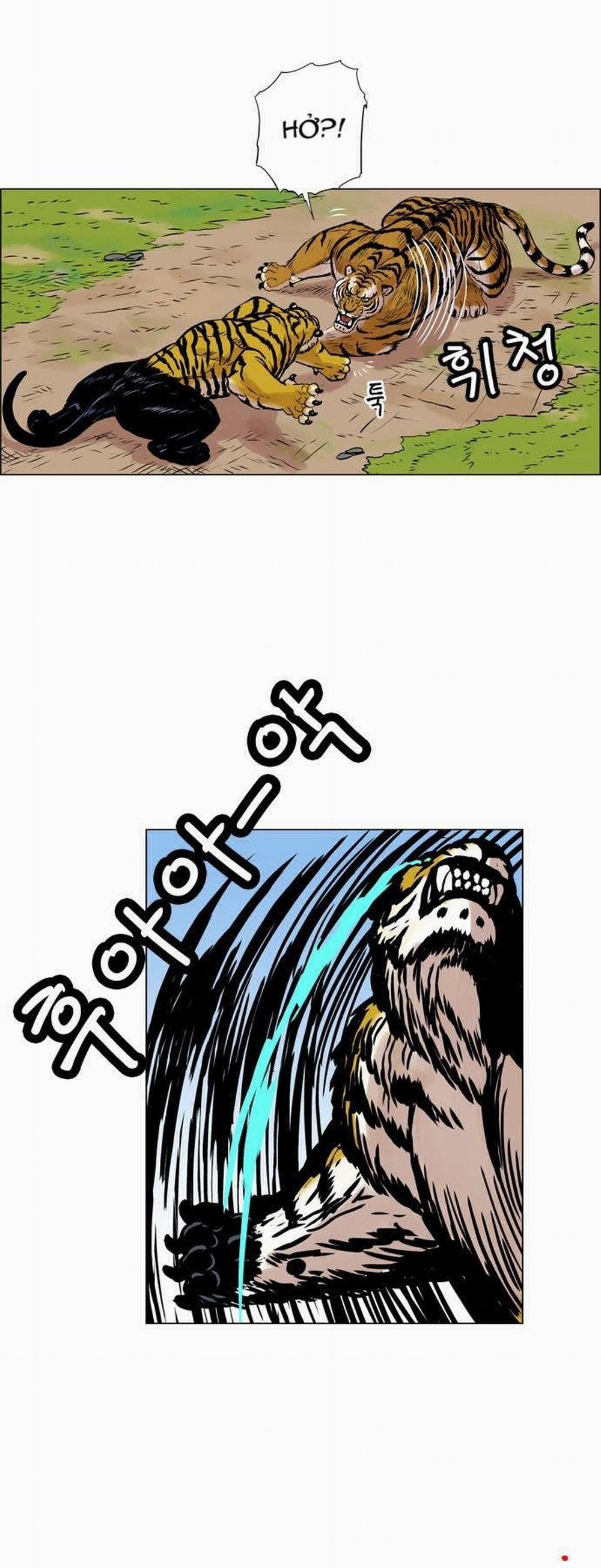 Tiger Brother 13 trang 23