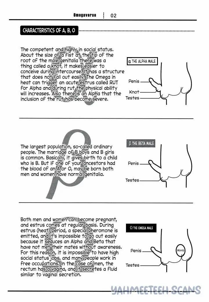 Tìm Thấy Em Rồi, Omega Của Tôii 1 trang 4
