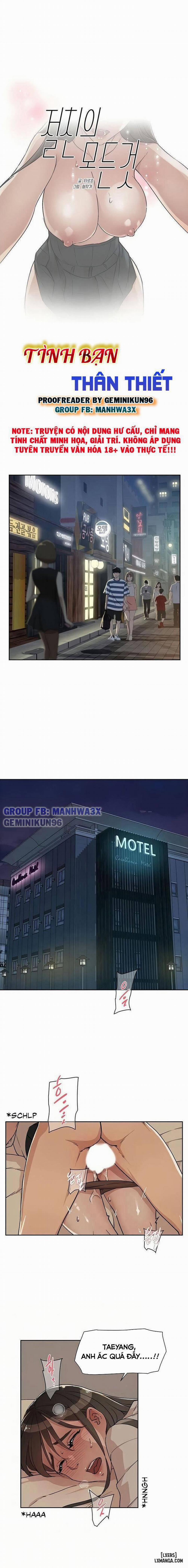 Tình Bạn Thân Thiết 5 trang 1