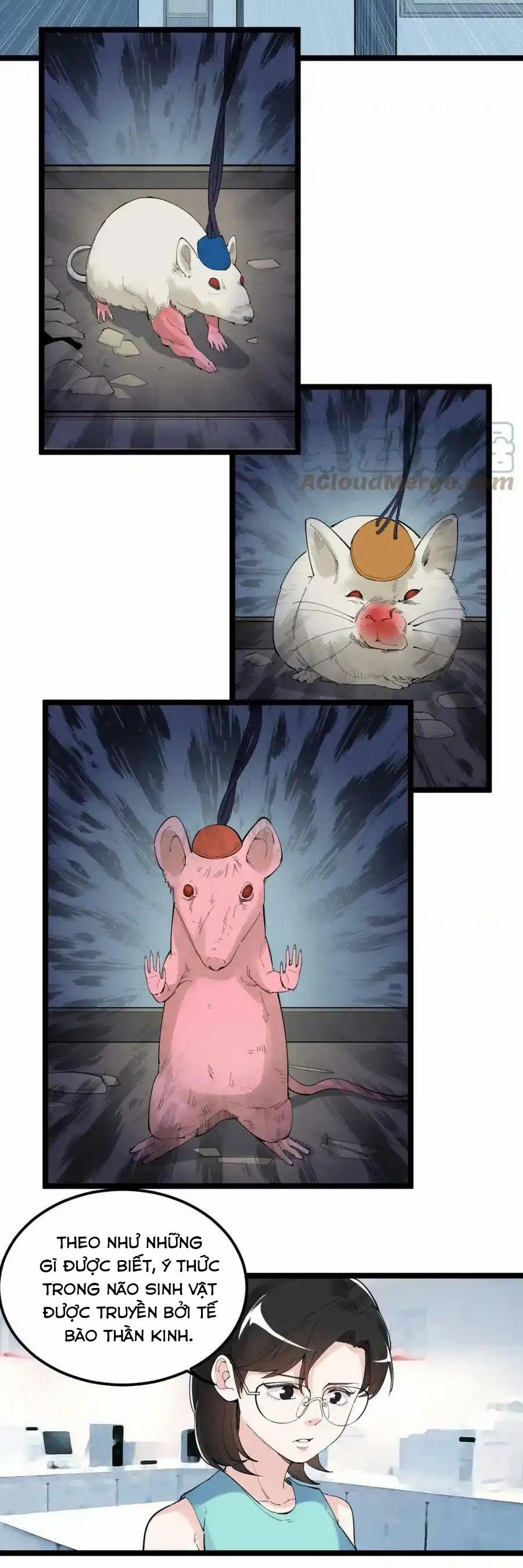 Tinh Thần Đại Hải Của Học Bá 191 trang 8