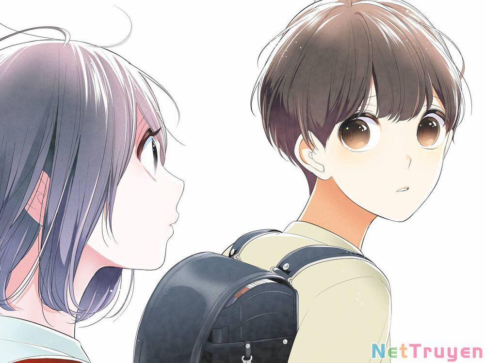 Tình Yêu Bị Ngăn Cấm 257 trang 3