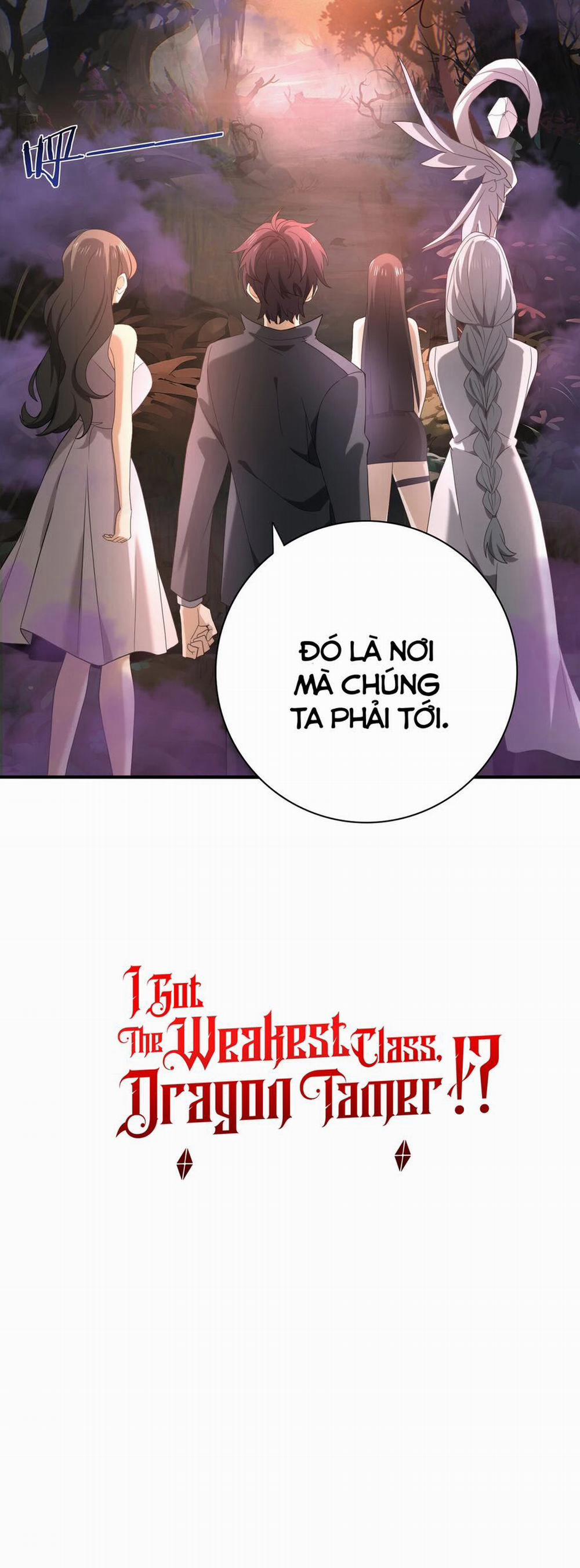 Toàn Dân Chuyển Chức: Ngự Long Sư Là Chức Nghiệp Yếu Nhất? 23 trang 29