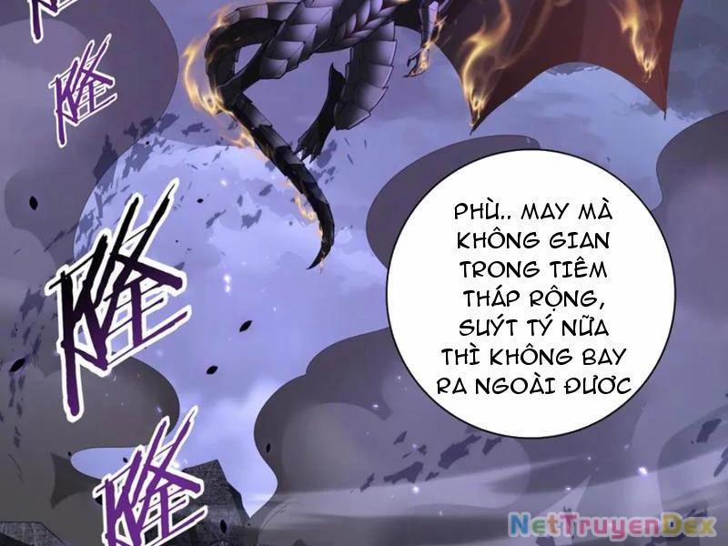 Toàn Dân Chuyển Chức: Ngự Long Sư Là Chức Nghiệp Yếu Nhất? 79 trang 1