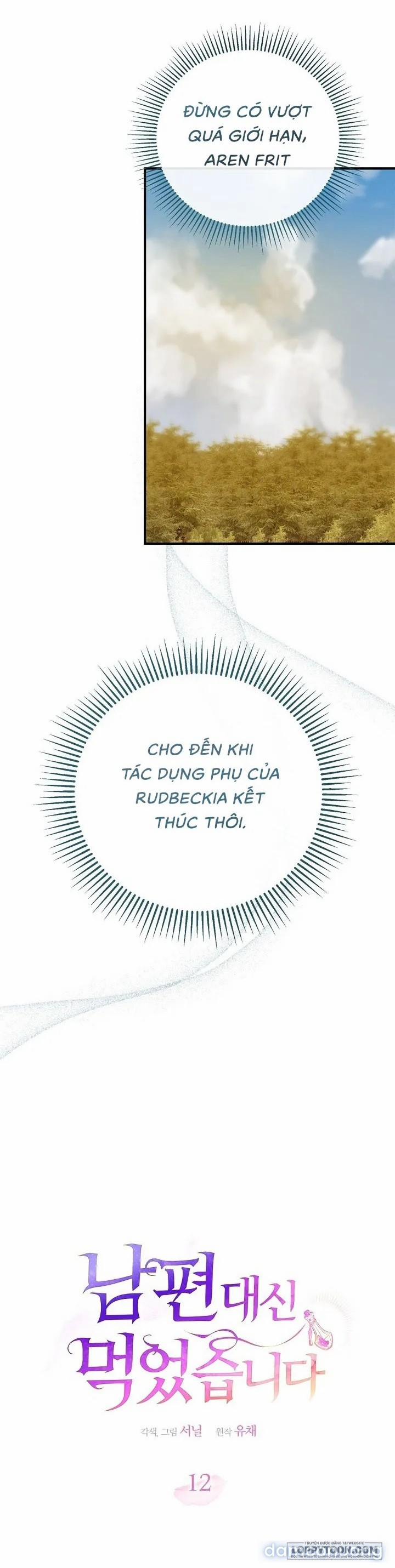 Tôi Đã Ăn Thay Cho Chồng 12 trang 27