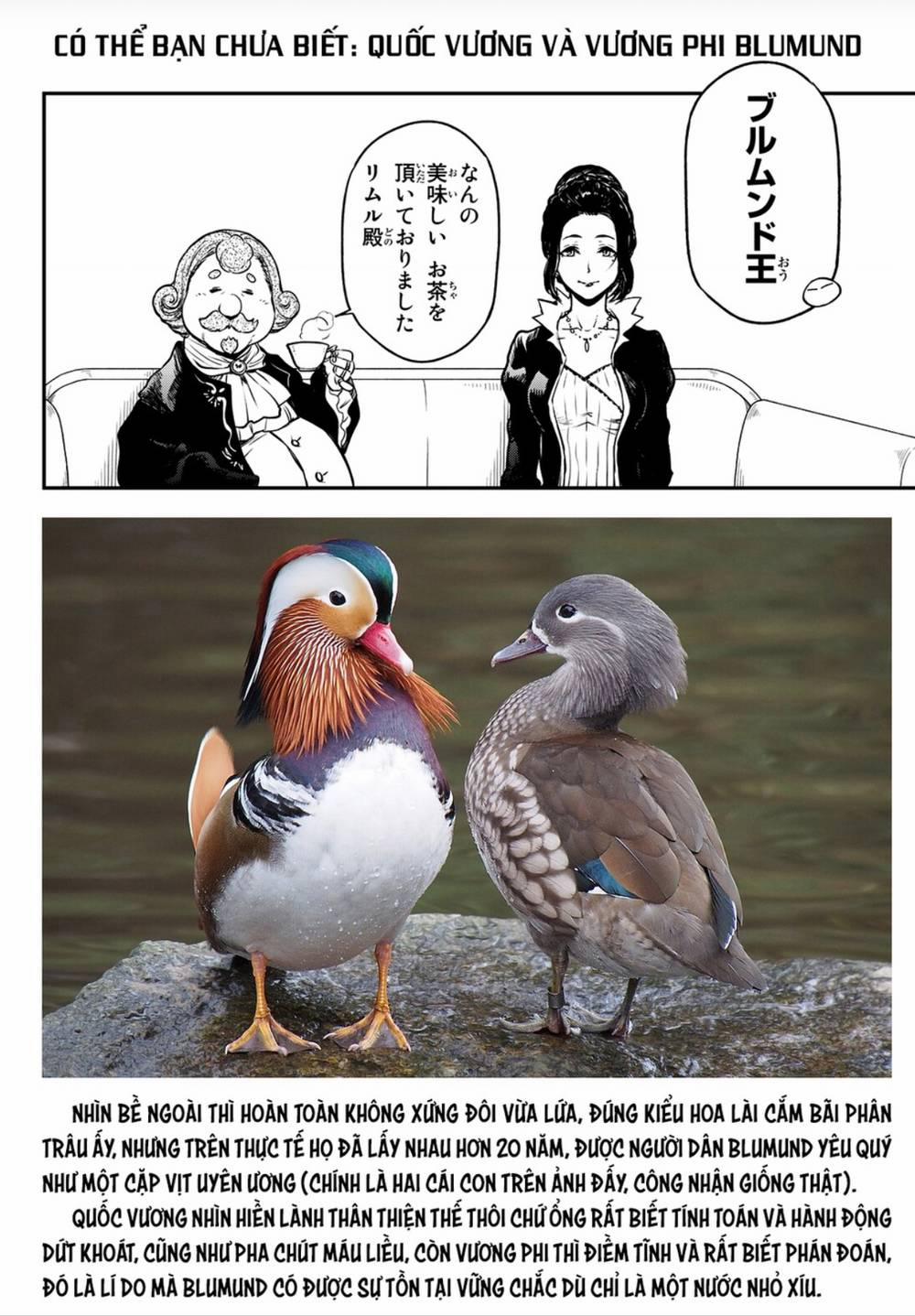 Tôi Đã Chuyển Sinh Thành Slime 108 trang 38