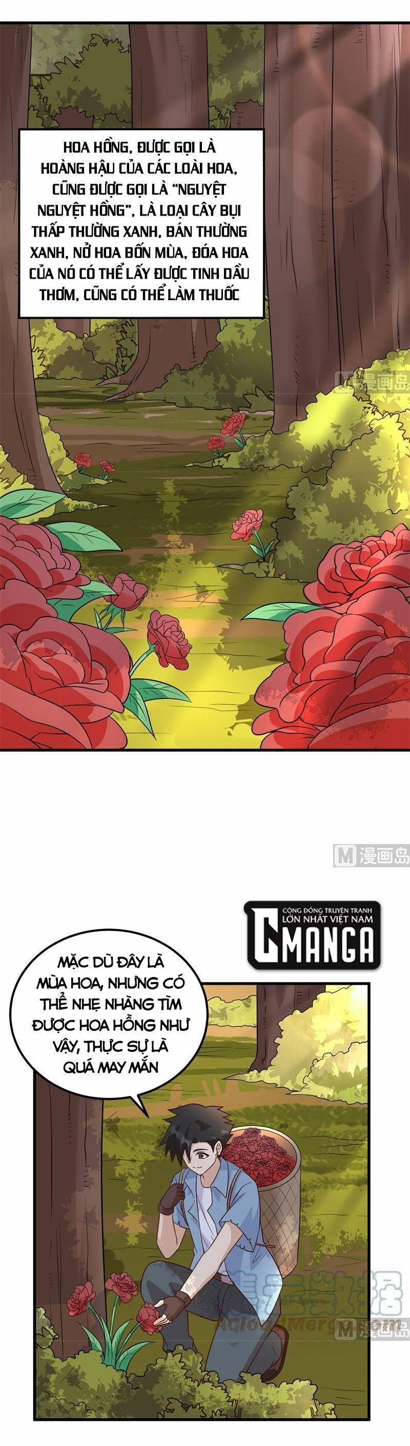 Tôi Sống Trên Hoang Đảo Cùng Các Em Gái 138 trang 8