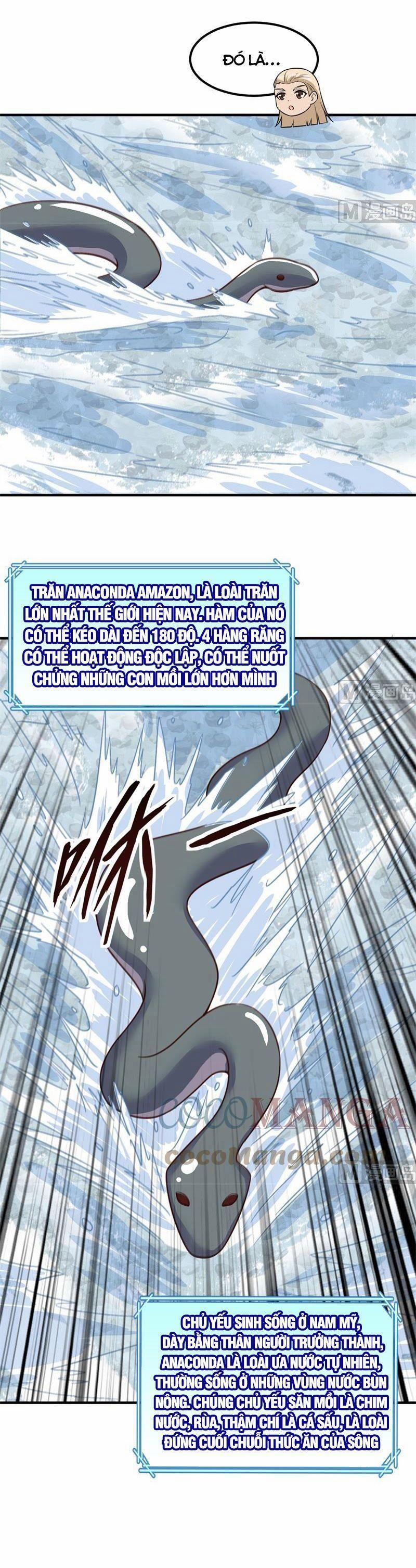 Tôi Sống Trên Hoang Đảo Cùng Các Em Gái 155 trang 13