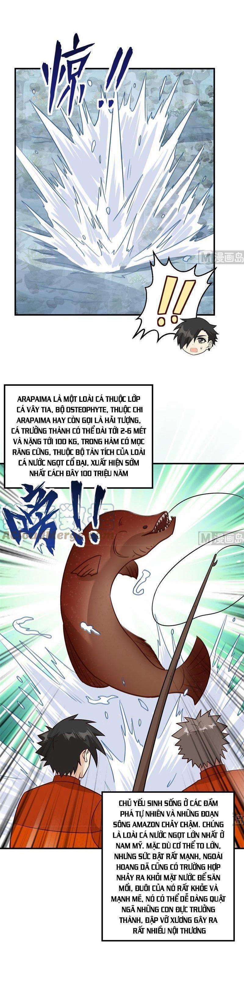 Tôi Sống Trên Hoang Đảo Cùng Các Em Gái 162 trang 10