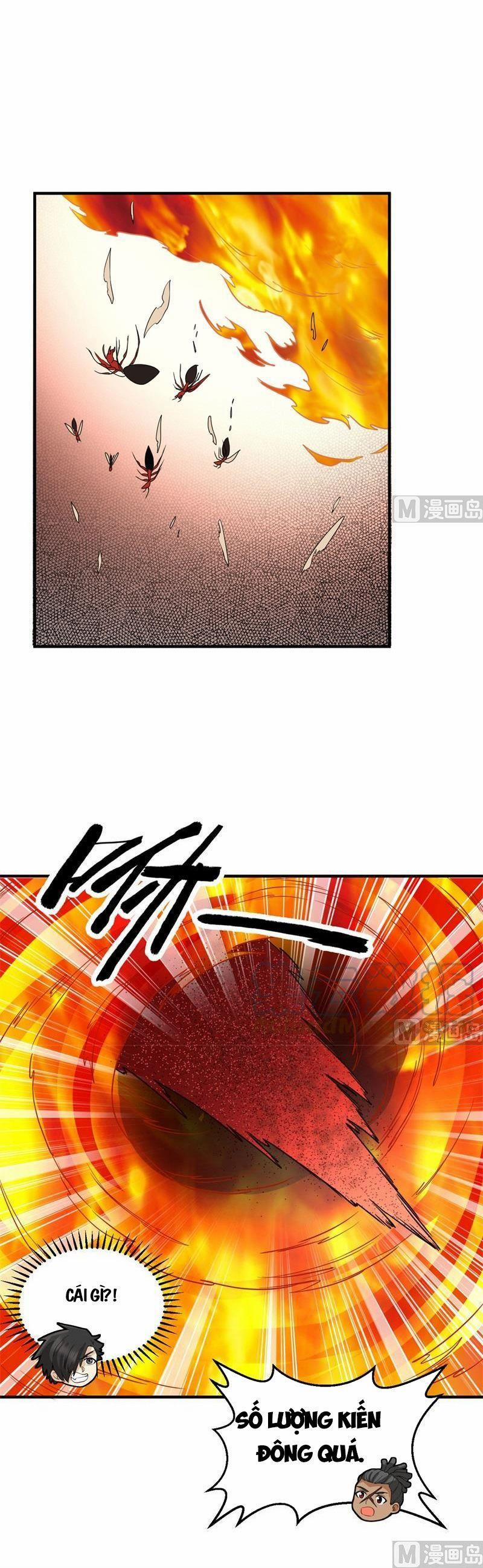 Tôi Sống Trên Hoang Đảo Cùng Các Em Gái 166 trang 11