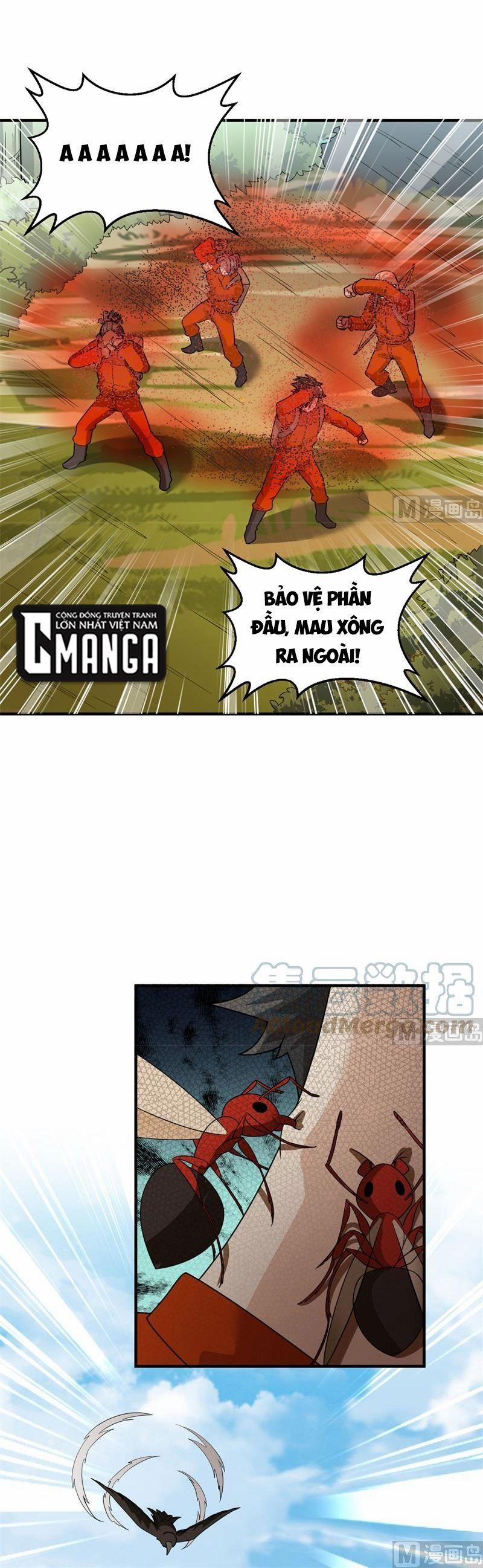 Tôi Sống Trên Hoang Đảo Cùng Các Em Gái 166 trang 12