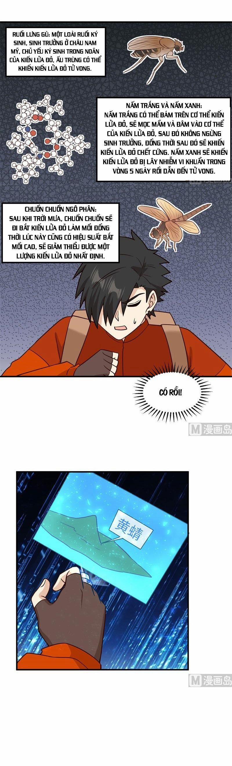 Tôi Sống Trên Hoang Đảo Cùng Các Em Gái 167 trang 1