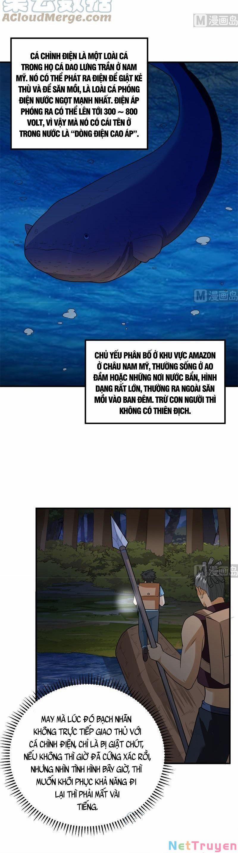 Tôi Sống Trên Hoang Đảo Cùng Các Em Gái 185 trang 7