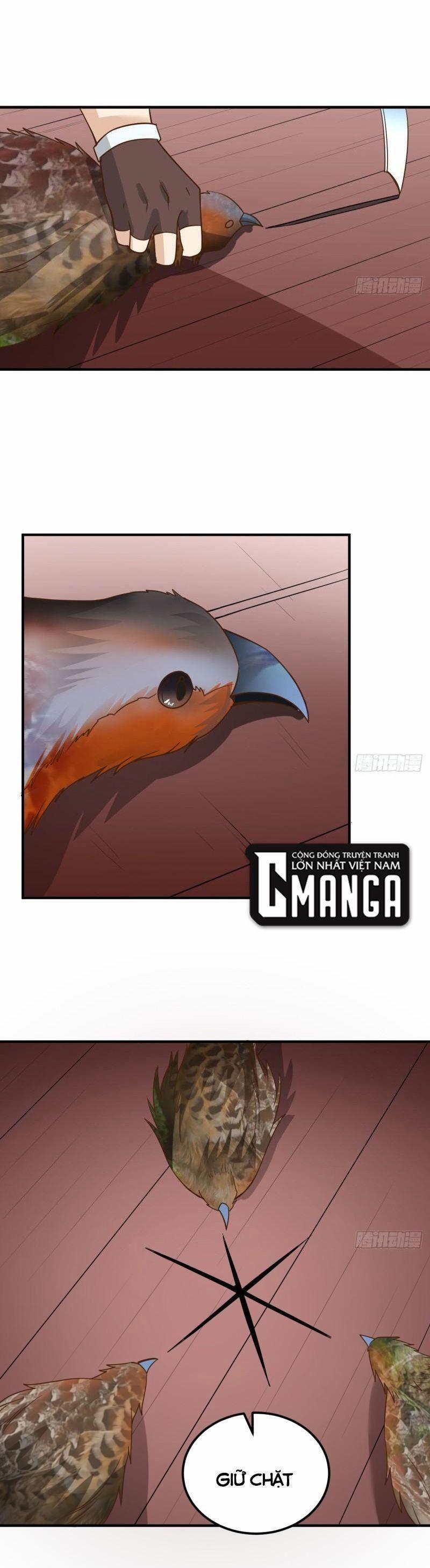 Tôi Sống Trên Hoang Đảo Cùng Các Em Gái 211 trang 12