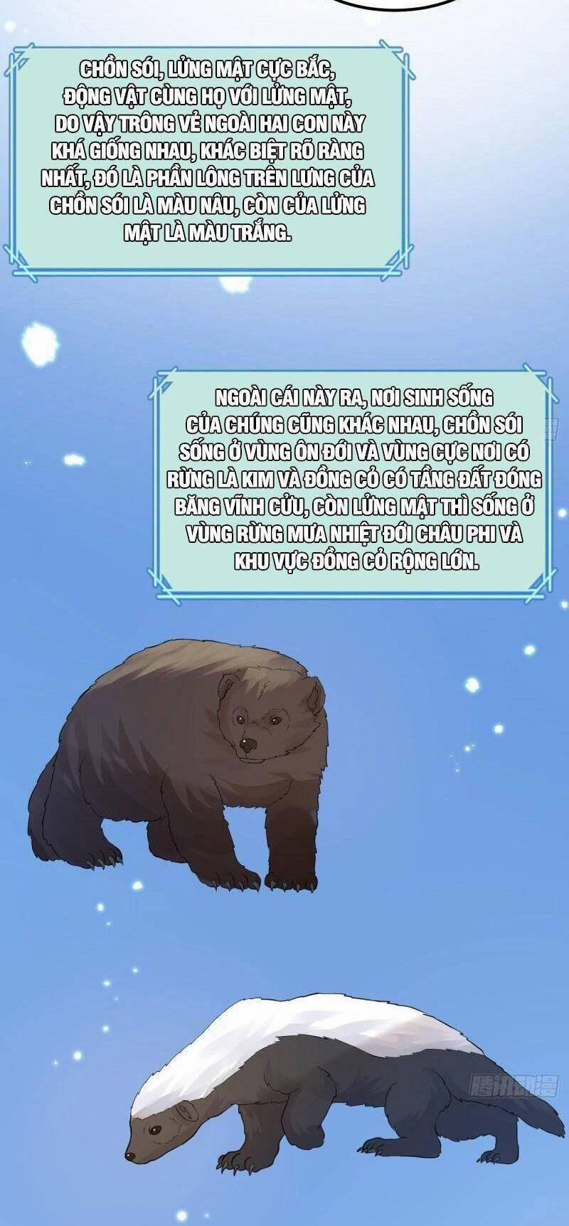 Tôi Sống Trên Hoang Đảo Cùng Các Em Gái 228 trang 22