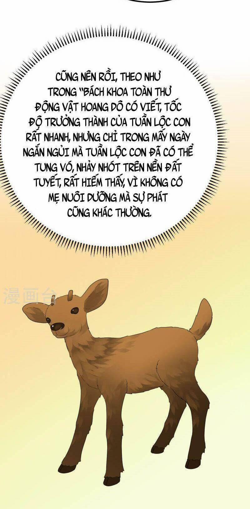 Tôi Sống Trên Hoang Đảo Cùng Các Em Gái 231 trang 15