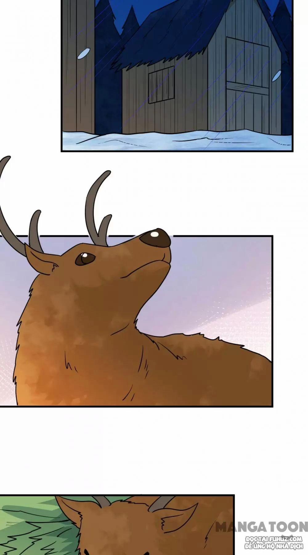 Tôi Sống Trên Hoang Đảo Cùng Các Em Gái 240 trang 36