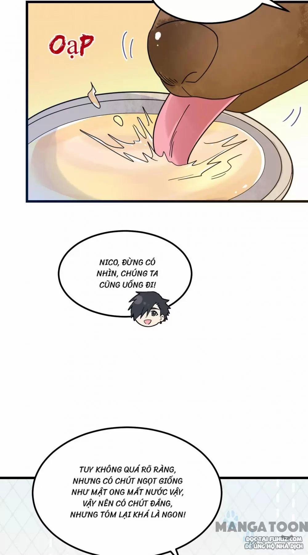 Tôi Sống Trên Hoang Đảo Cùng Các Em Gái 241 trang 14