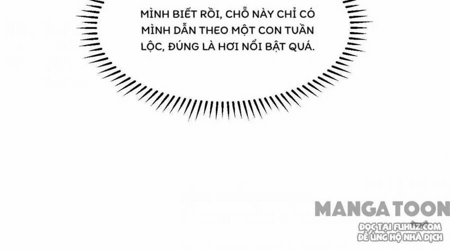 Tôi Sống Trên Hoang Đảo Cùng Các Em Gái 254 trang 29