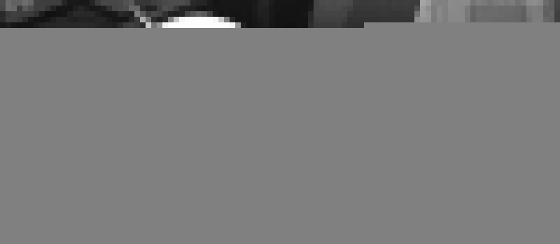 Tôi Sống Trên Hoang Đảo Cùng Các Em Gái 40 trang 1