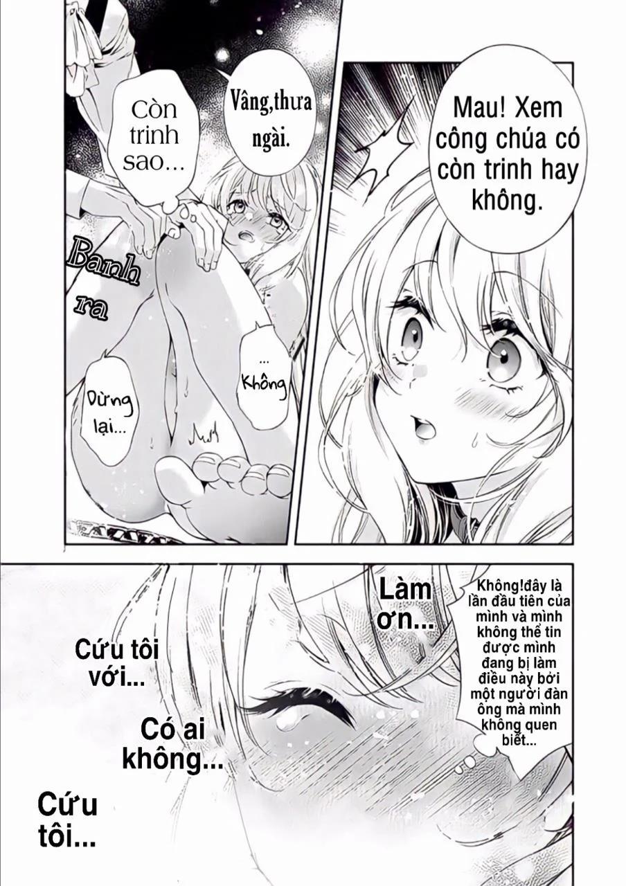 Tôi Tái Sinh Là Một Công Chúa Và Trở Thành Nô Lệ Thú Cưng Của Vị Hoàng Tử Khét Tiếng 1 trang 11