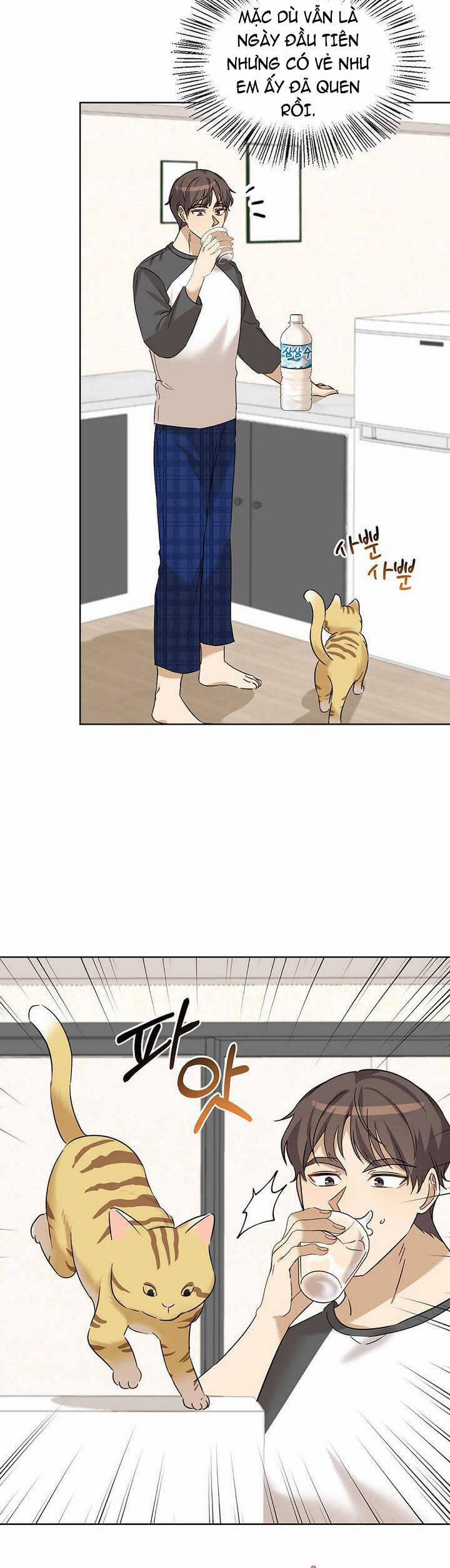 Tôi Trở Thành Một Người Cha 79 trang 15