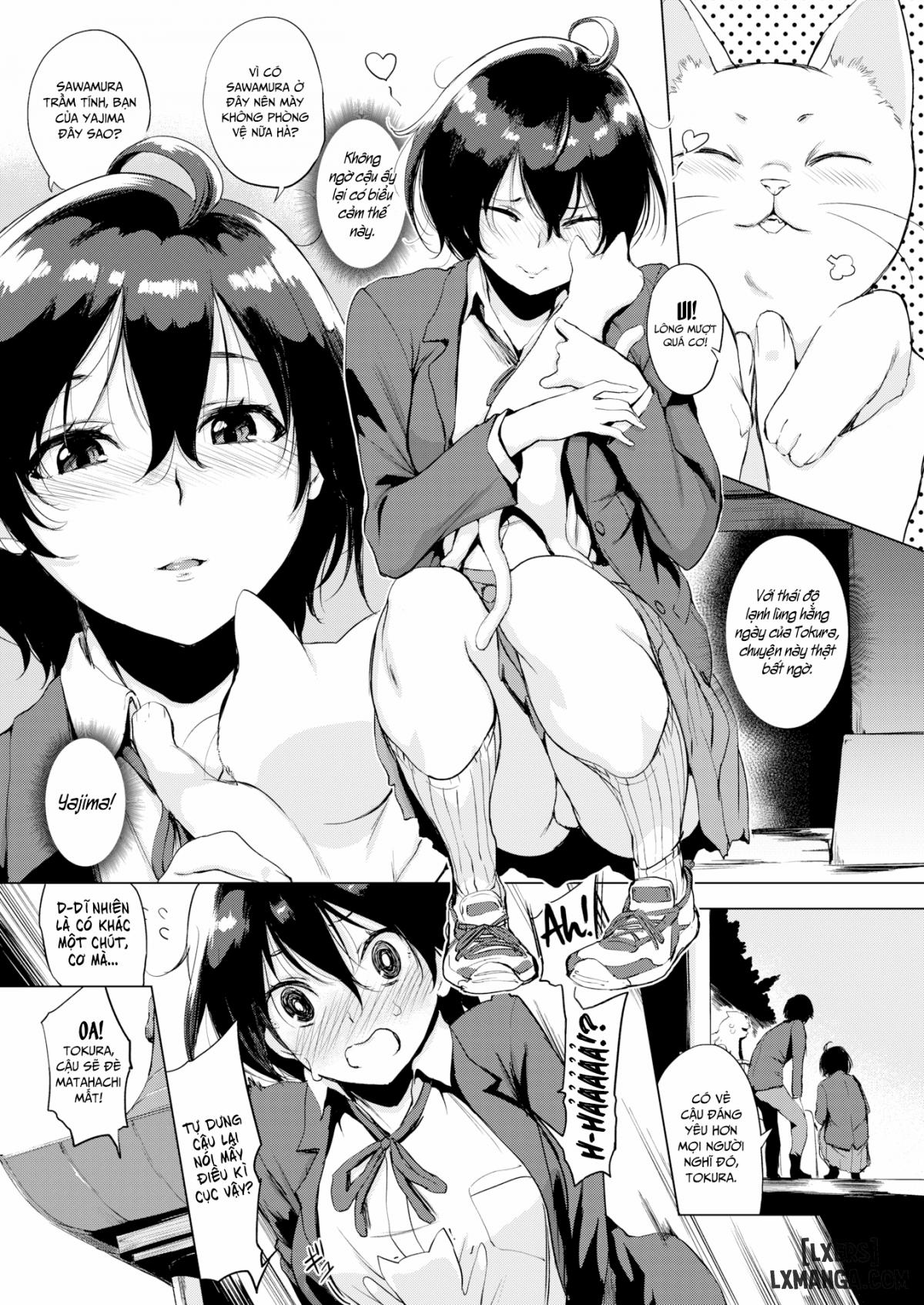 Tokura-san Loves Cat 1 trang 3