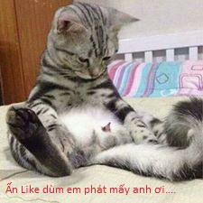 Tổng Hợp Hentai Disney 0 alvin and the chipmunks bản đẹp trang 17