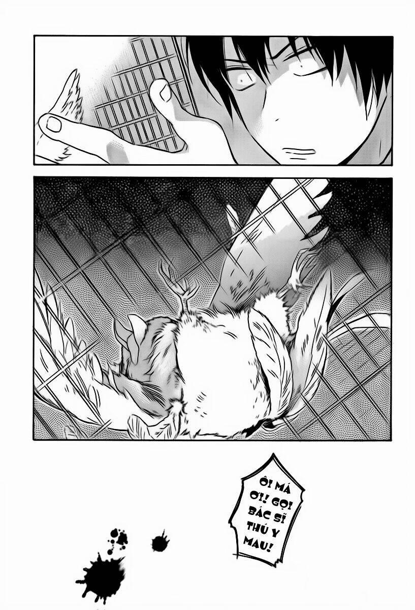 Toradora! 24 trang 15