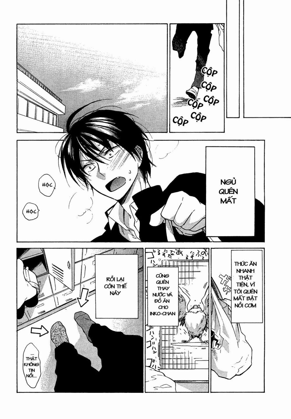 Toradora! 9 trang 17
